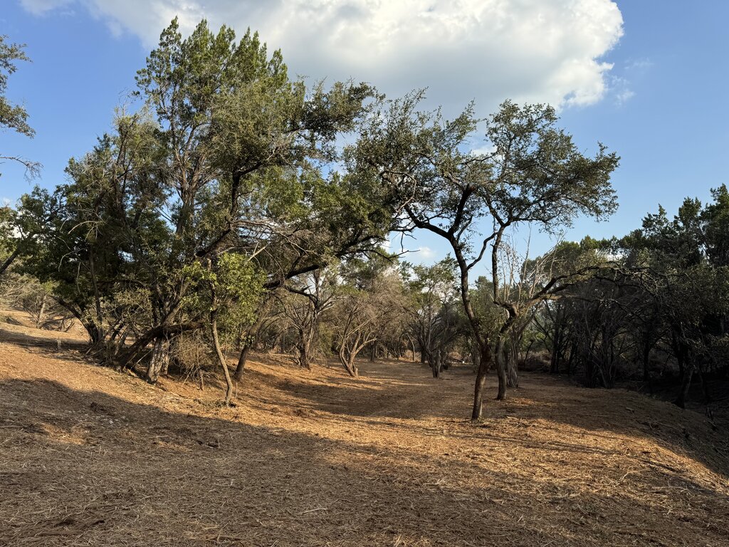 Project A — after clearing