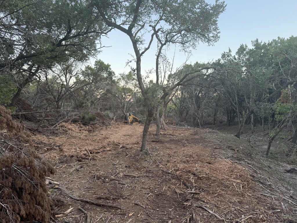 Project A — before clearing